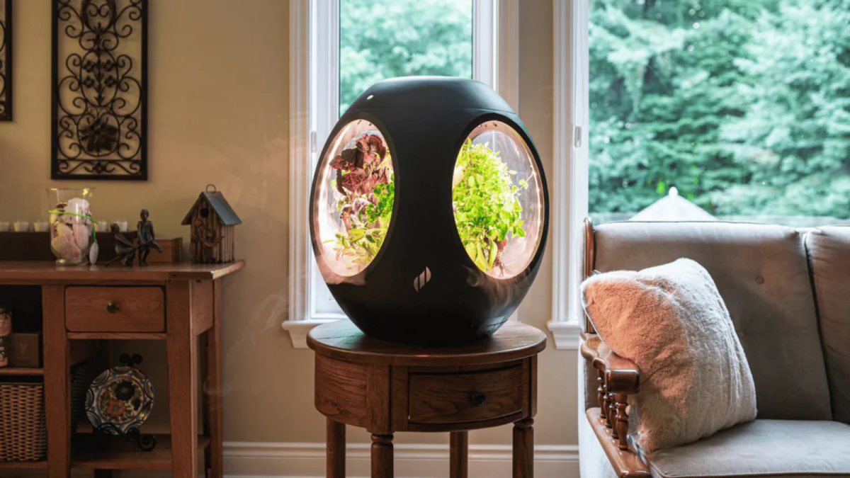 The Plantaform smart indoor garden uses NASA tech to grow plants with fog