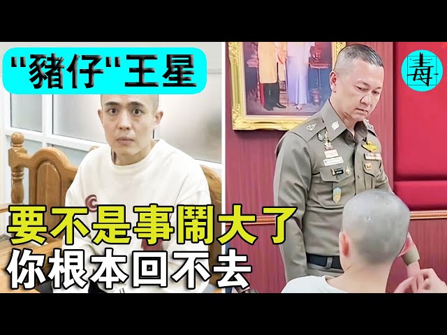 要不是事情鬧大了，你根本回不去！“猪仔”王星最新后续曝光，整个过程太恐怖了！