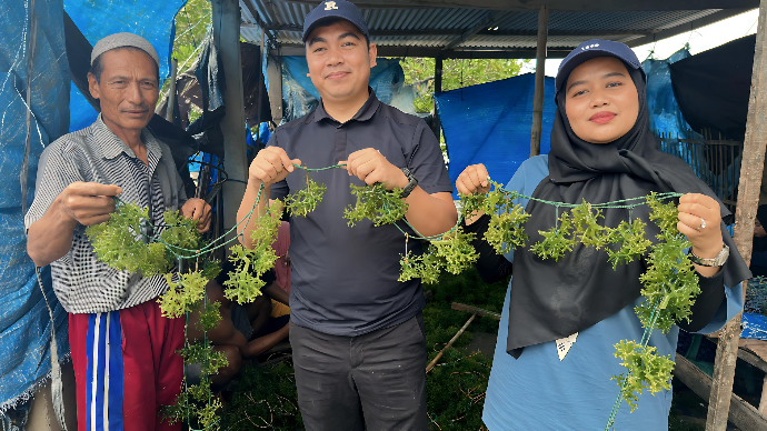 Intudo leads US$1.25M investment in Banyu to elevate Indonesia's seaweed value chain
