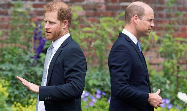 Prince Harry and William won't inherit Diana's childhood home as loophole sees it handed to actor