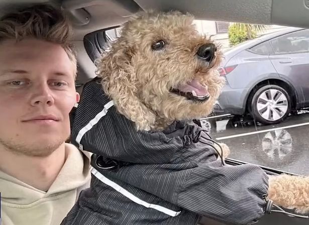 Woman reveals haunting premonition moments before Tesla crash killed her boyfriend and dog