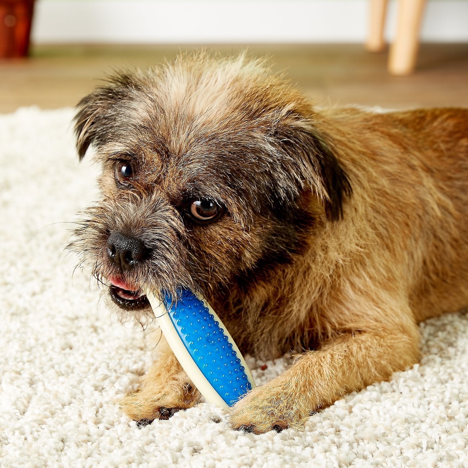 If Treating Your Dog Makes You Happy, Then You’ll Want To Look At These 27 Products