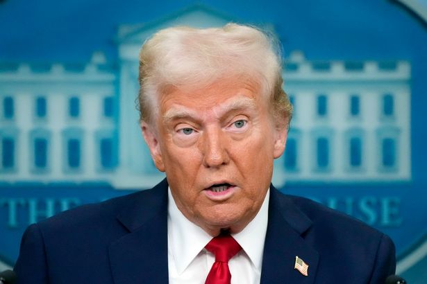 What is DEI? Donald Trump's unhinged Washington plane crash rant explained