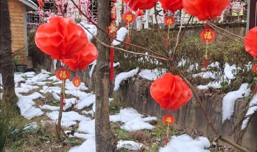 Chengdu Snow Village in China apologises for fake cotton snow