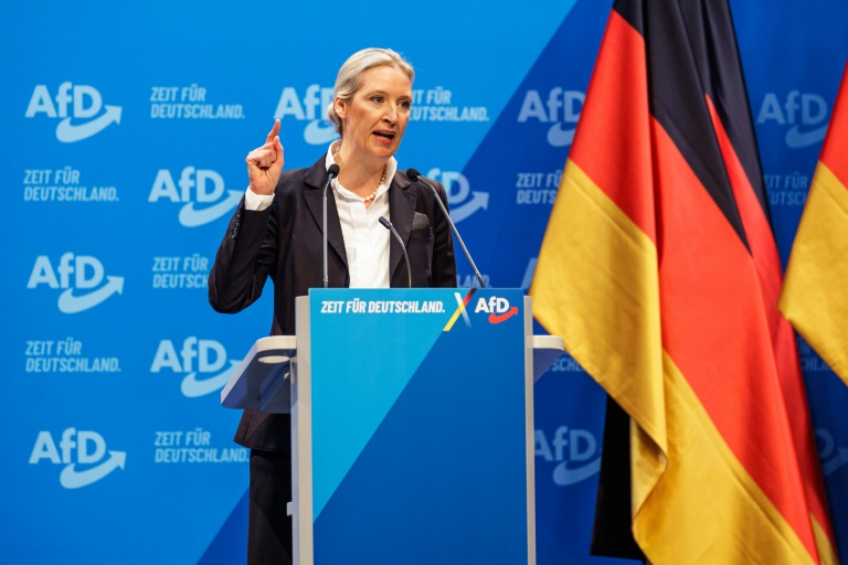 Alice weidel, unlikely queen of german far-right afd