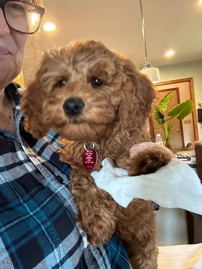 36 Things Under $20 That'll Make Everyday Life A Little Bit More Pleasant