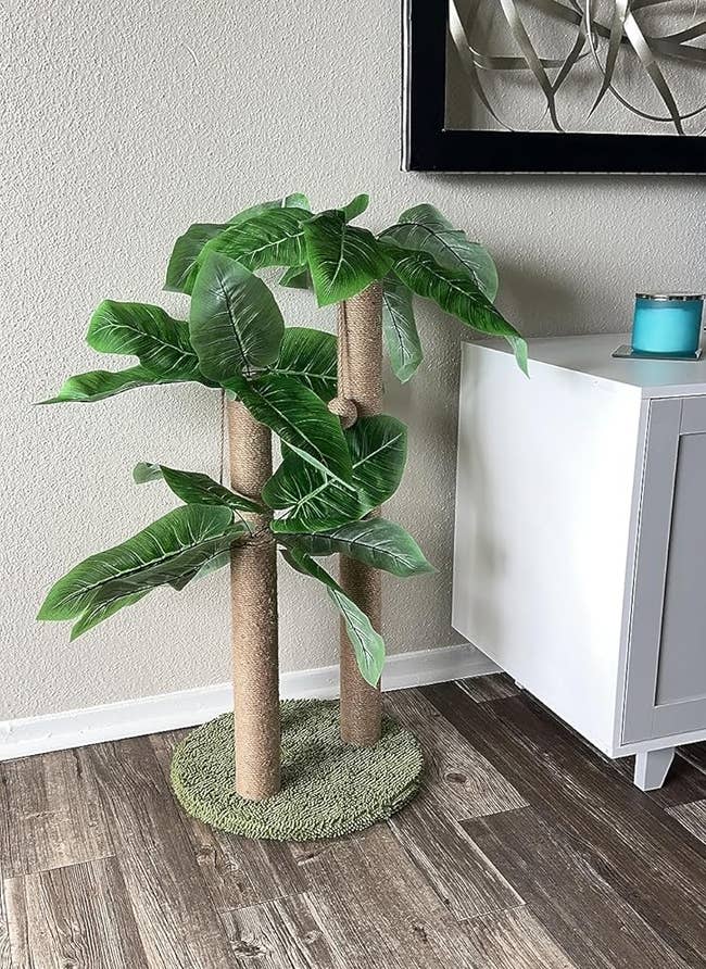 36 Things That'll Really Come In Handy If You Live With Two Or More Cats