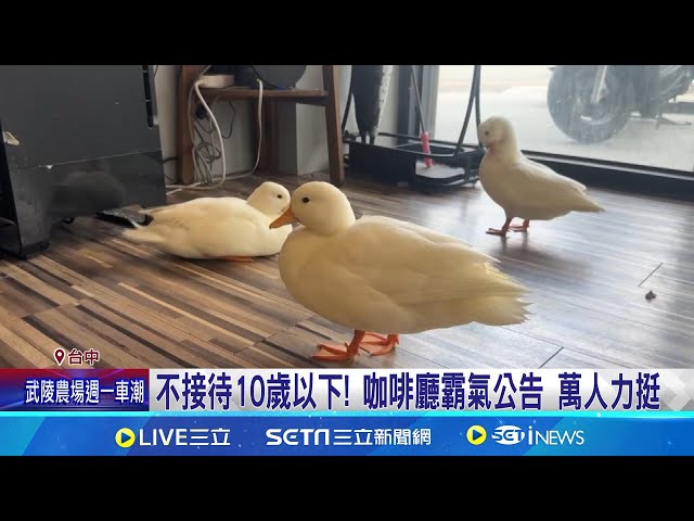 不接待10岁以下童! 咖啡厅霸气公告 万人力挺 孙追柯尔鸭 嬷称"又沒抓到" 店家阻止无效│记者 李建莹 沈明志│消费报你知20250303│三立新闻台