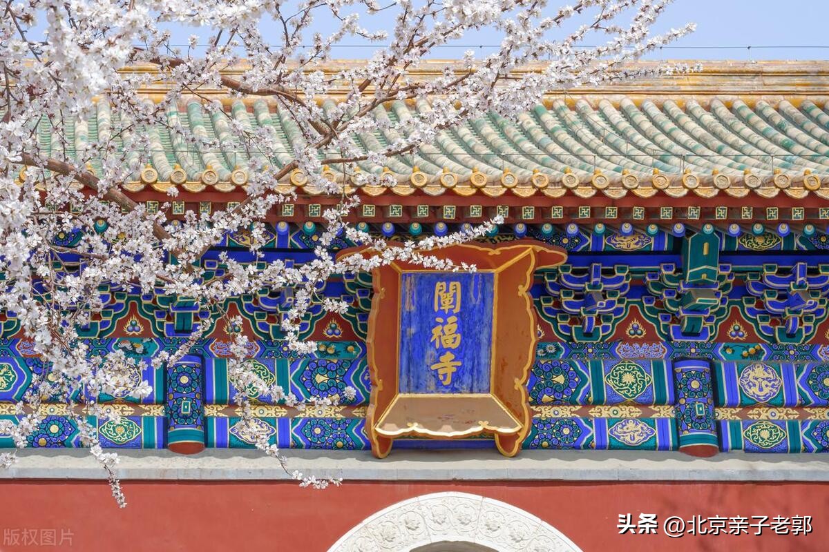 3月赏花攻略，从这个周末开始