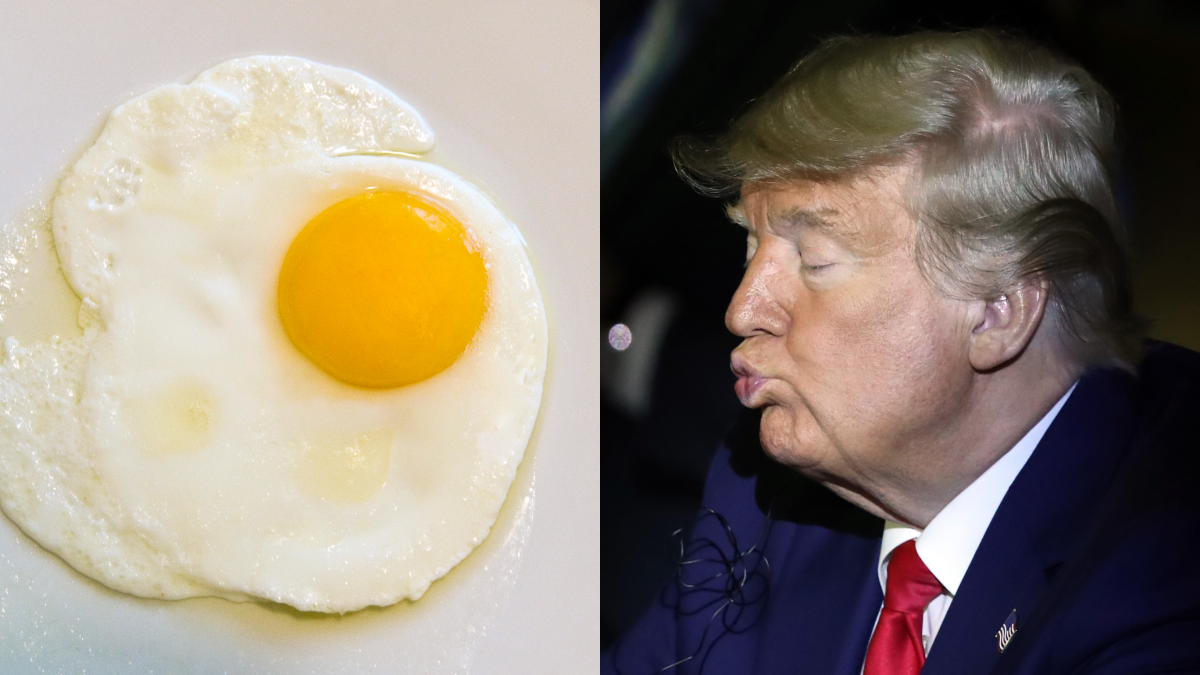 The 'Trump take egg' meme is an absurdly layered joke