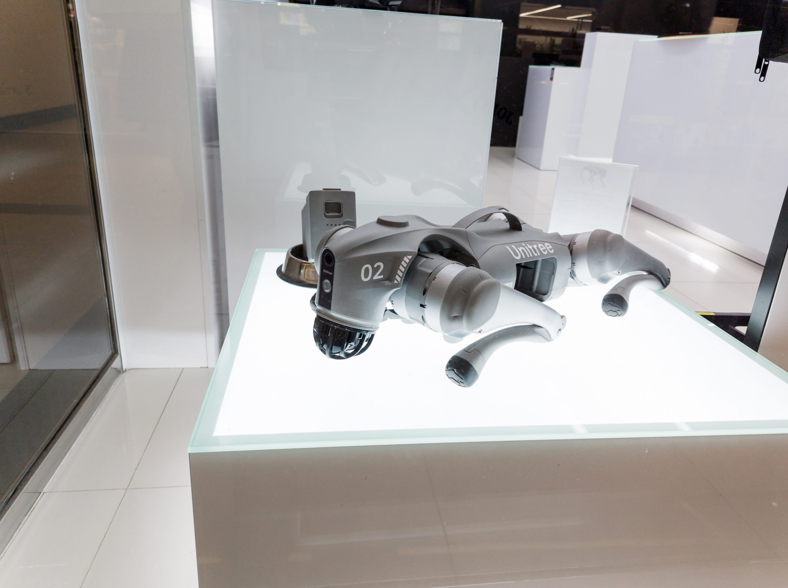 Unitree and carmaker Great Wall Motor partnered to develop robots