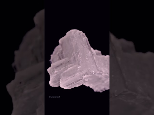 Salt shaker