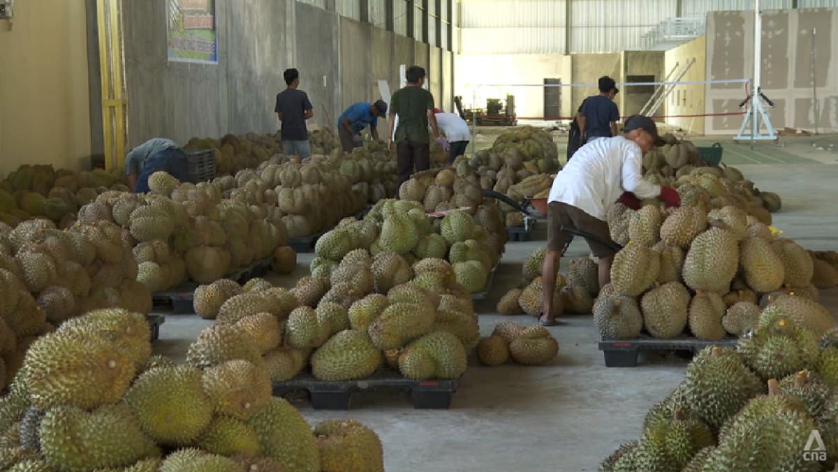 'Durian diplomacy': Indonesia aims to begin exports of frozen durians to China this year