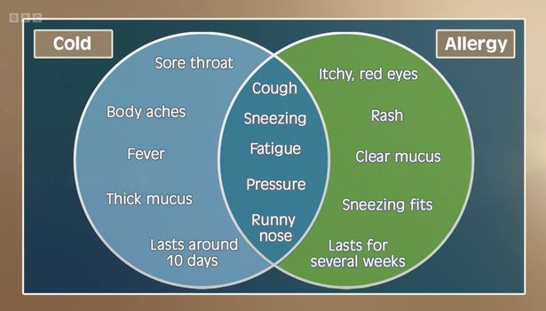 BBC doctor tells hay fever sufferers to act 'two weeks early'