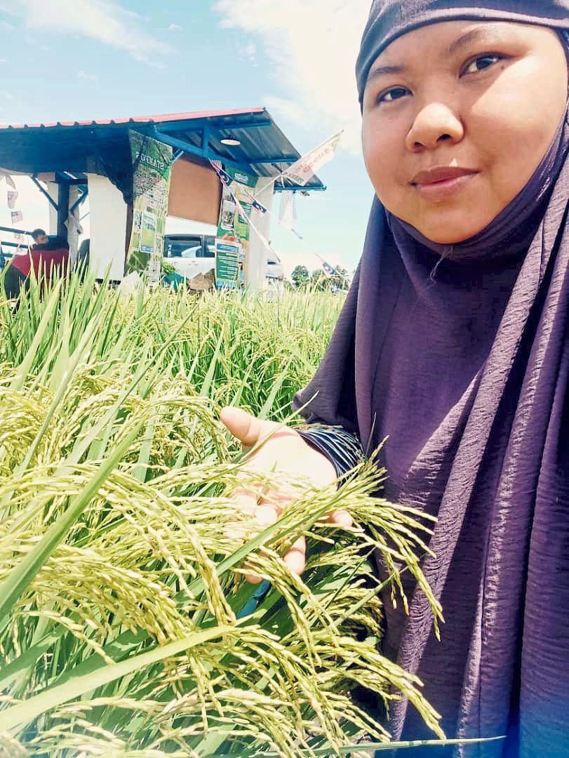 Turning to foreign seeds to boost yields