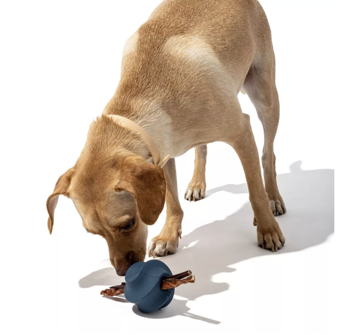 10 Interactive Dog Toys From Target That Will Keep Your Dog BFF Busy For Hours