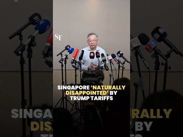Singapore ‘naturally disappointed’ with Trump’s trade tariffs: DPM Gan
