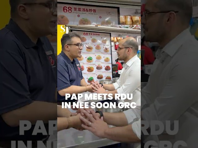 GE2025: Red Dot United meet PAP on walkabout in Nee Soon GRC