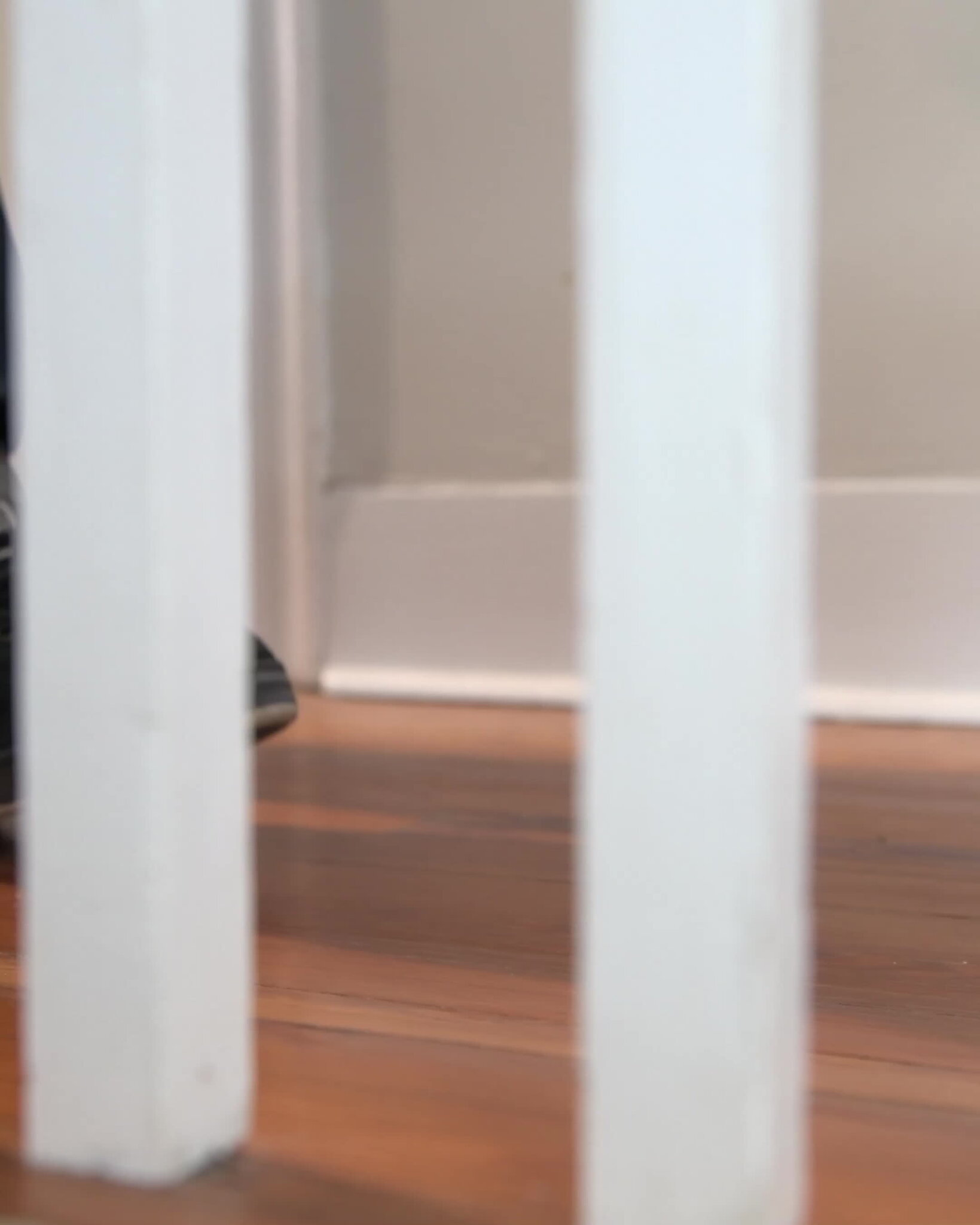 Squeak. Creak. Groan. You Can Fix Those Noisy Wood Floors. Squeak. Creak. Groan. You Can Fix Those Noisy Wood Floors.
