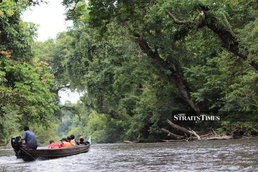 Dutch trekker's death: Safety protocols followed, but Taman Negara tour guides call for SOP review