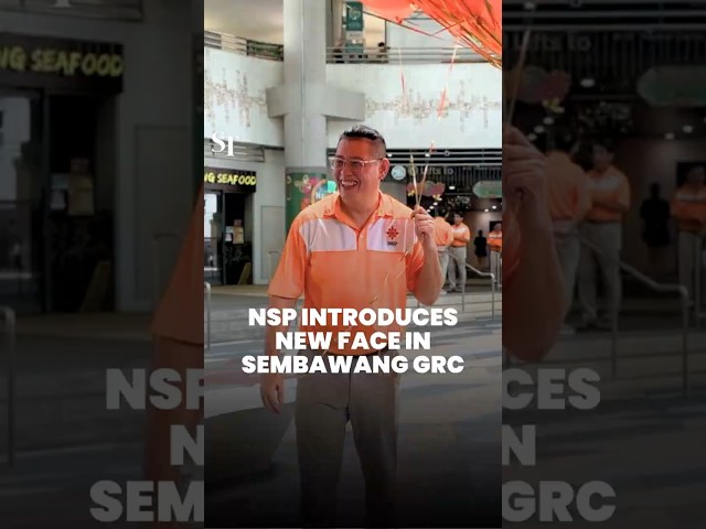 GE2025: National Solidarity Party reveals new candidate Raiyian Chia