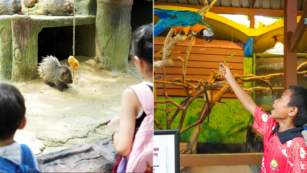 Zoo Negara Is Having A Limited-Time 'Buy 1, Free 1' Promo For Kids Tickets
