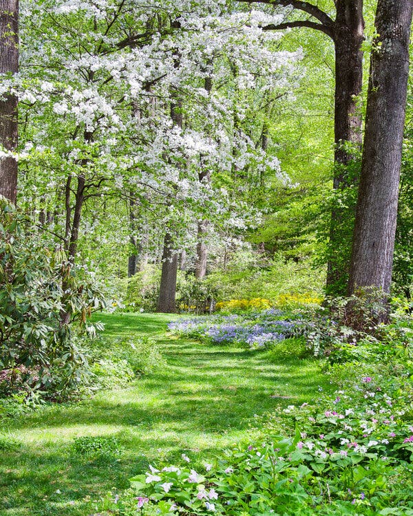 The Four Ecologically Crucial Things You Should Do in Your Garden