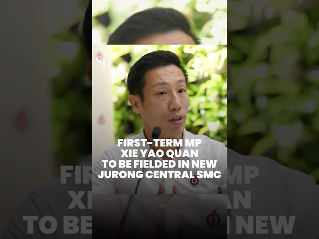 Xie Yao Quan, a PAP first-term MP, to run in new Jurong Central SMC