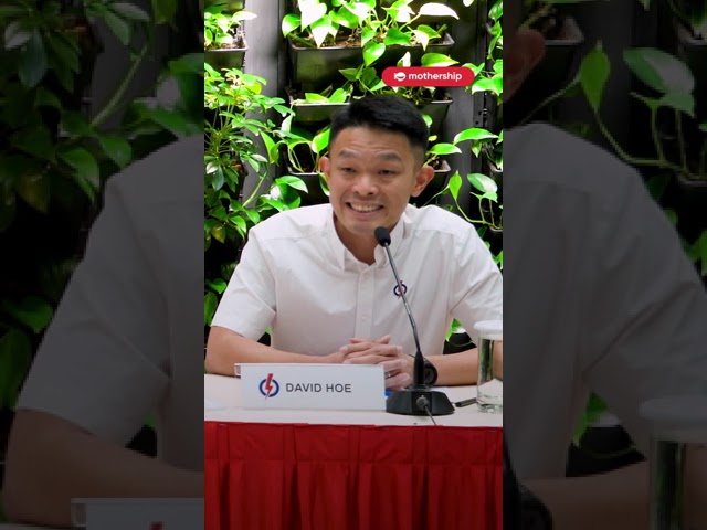 'When I was growing up, it wasn't always easy': PAP newcomer David Hoe