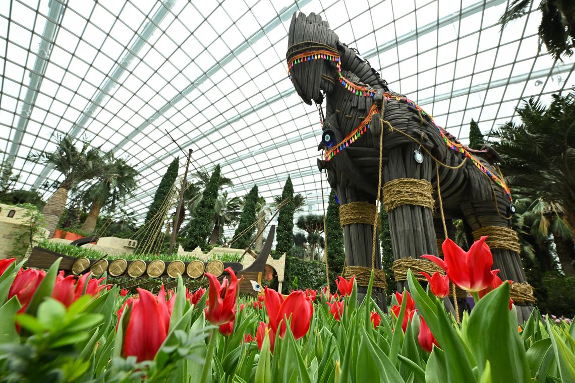 Trojan Horse trots into Flower Dome for the 2025 Tulipmania