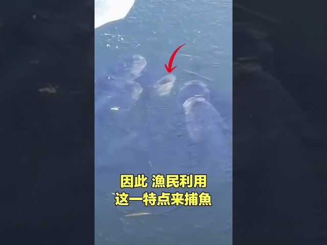 请勿模仿|自说自话的总裁