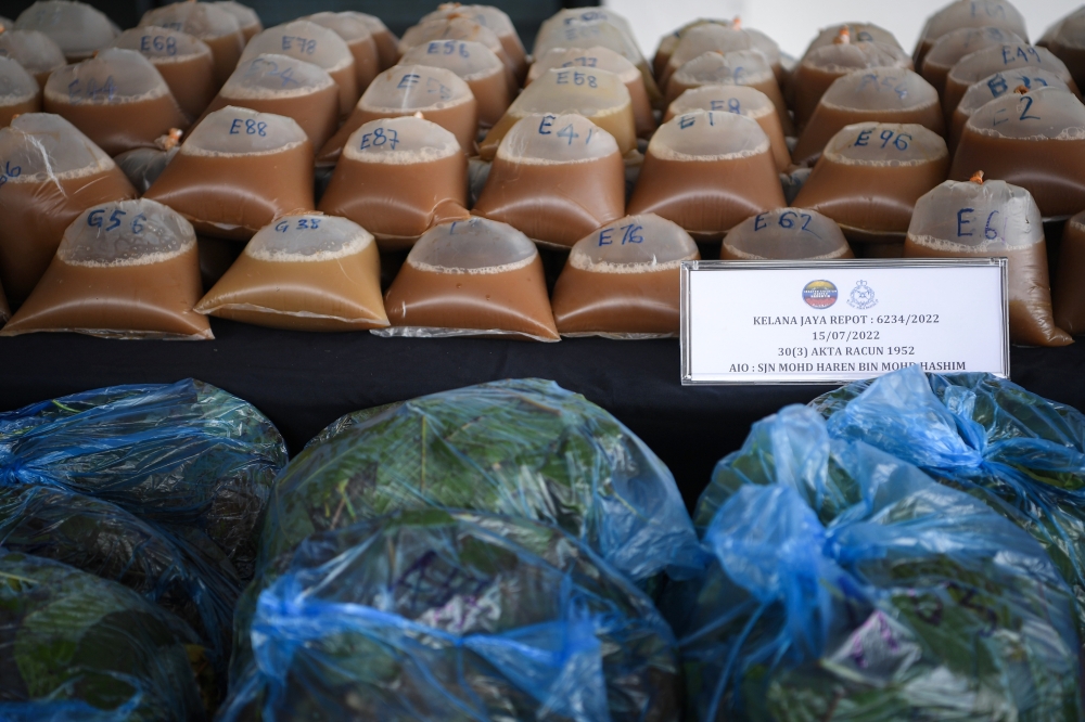 Penang police bust ketum lab earning ‘RM6,000 a month’ in Balik Pulau