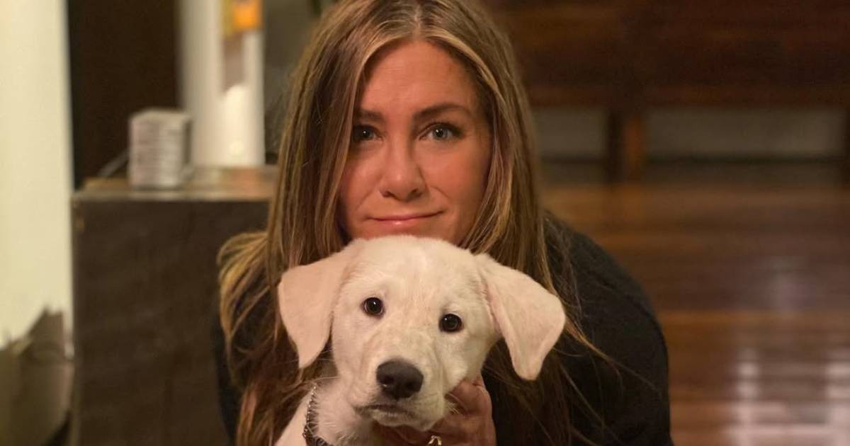 Jennifer Aniston undergoing hypnosis to cure 'extreme' fear of flying