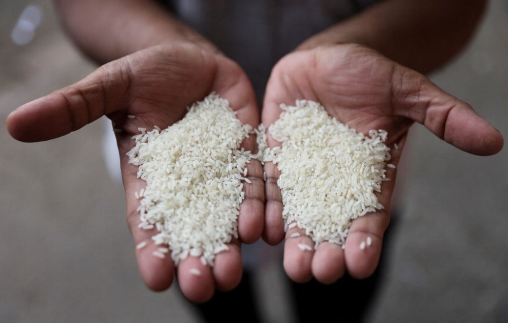 Middle East conflict strands 400,000 tons of India’s basmati rice at ports