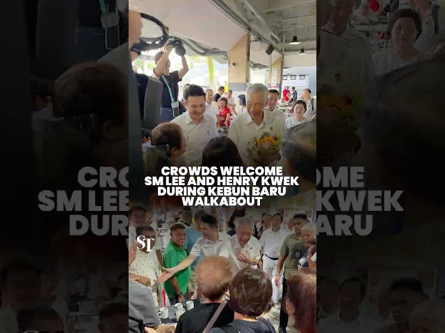 SM Lee, Henry Kwek greeted by cheers at Mayflower Market and Food Centre | GE2025