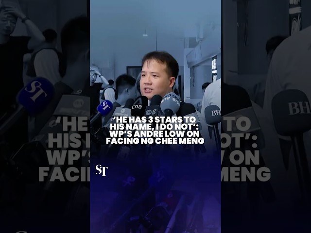 ‘He has 3 stars to his name, I do not’: WP’s Andre Low on facing Ng Chee Meng | GE2025