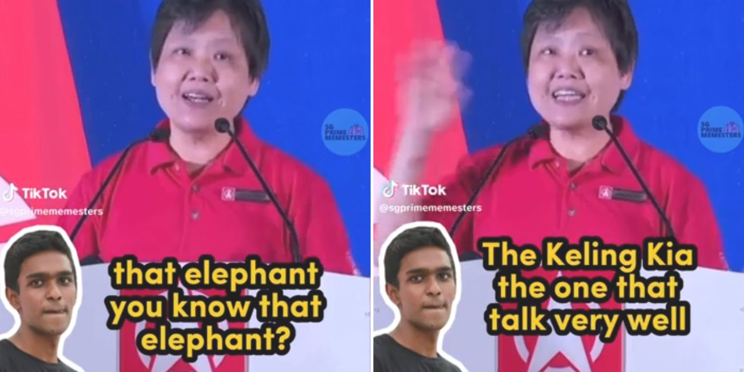 ‘You’ve been living under a rock’: netizens slam SDP candidate gigene wong after using racial slur on stage