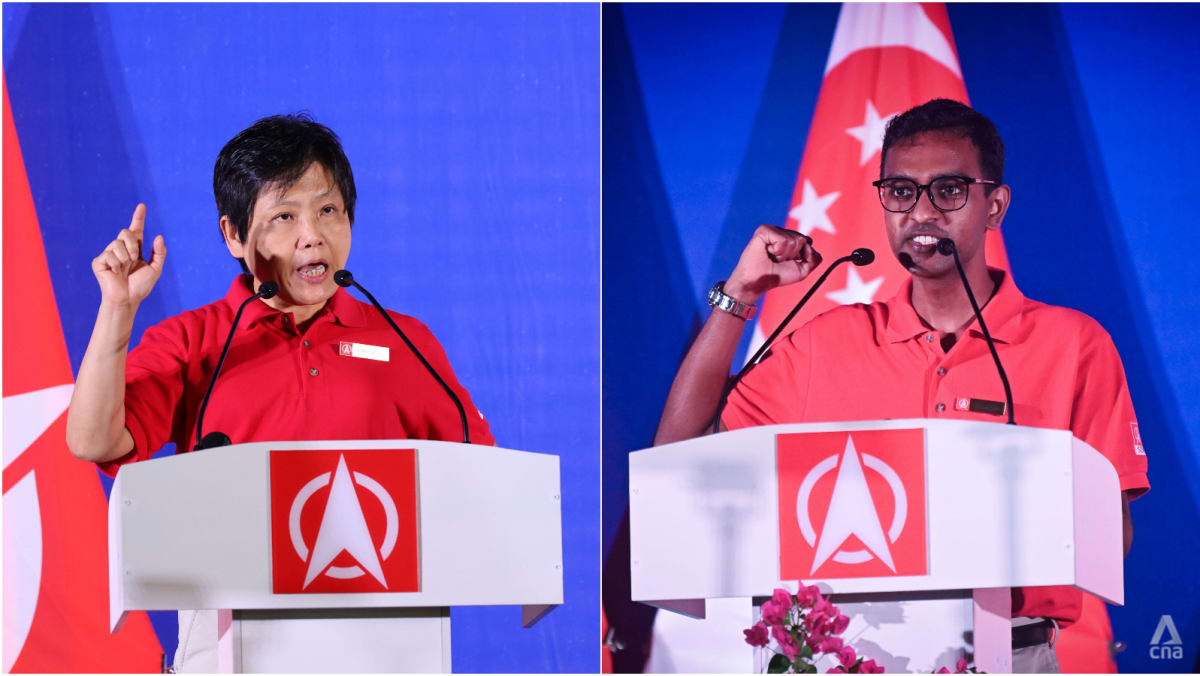 GE2025: SDP's Gigene Wong apologises twice for using racial slur to describe own party candidate at rally