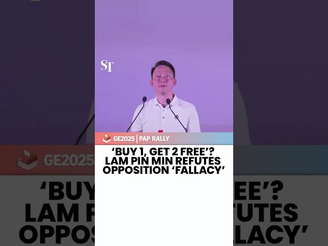 ‘Buy 1, get 2 free’? Lam Pin Min refutes opposition ‘fallacy’ | GE2025