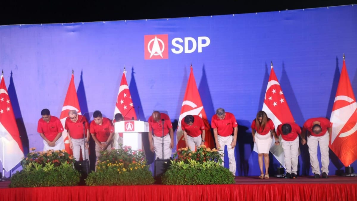 GE2025: SDP chief Chee Soon Juan apologises for Gigene Wong's racial slur that Ariffin Sha calls appalling
