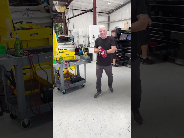 People Heard Kitten Meowing In Mercedes Engine During Test Drive | The Dodo