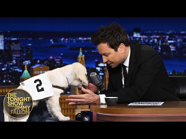 Jimmy Highlights Kentucky Derby Favorite Sovereignty with Puppies in Partnership with Ford