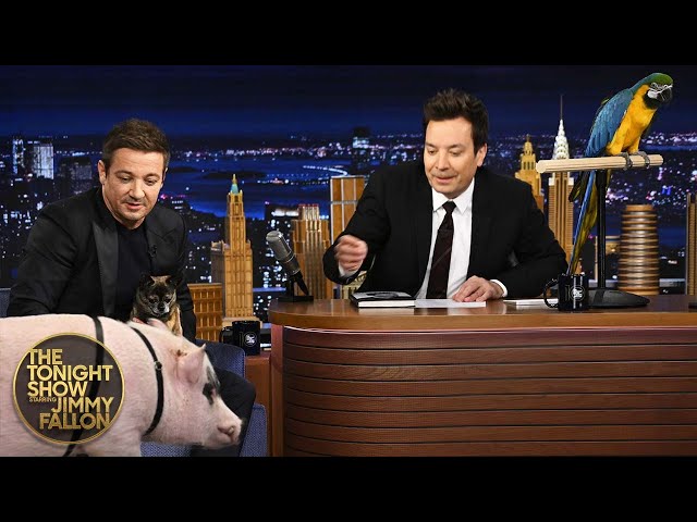 Jeremy Renner Introduces Jimmy to His Emotional Support Animal | The Tonight Show
