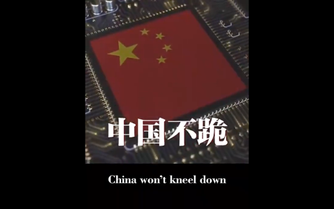 杨丹旭：从奉陪到底到不跪