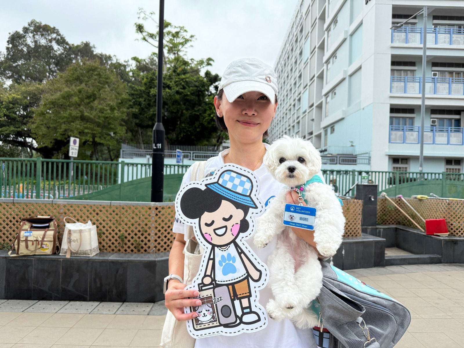 港铁启动“猫狗同行”计划　乘客可携宠物搭乘轻铁