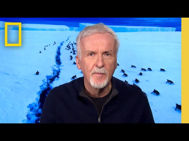 Overwinter with James Cameron | Secrets of the Penguins | National Geographic