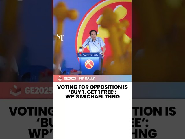Voting for opposition is ‘buy 1, get 1 free’: WP’s Michael Thng | GE2025