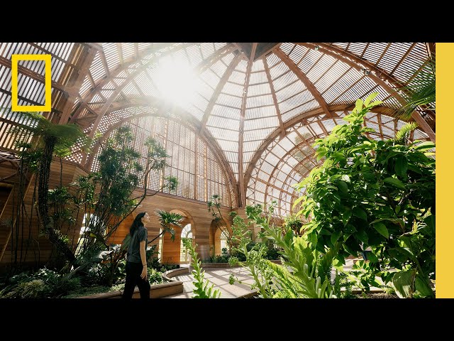 Portraits of San Diego | National Geographic