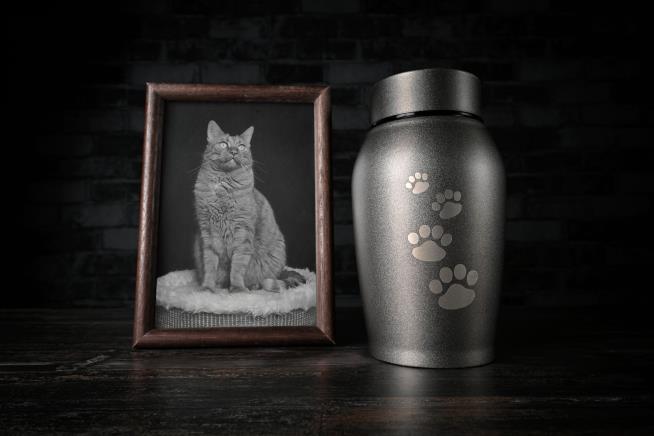 Paid $650K for Cremations, Man Threw Pets in Dump: Cops