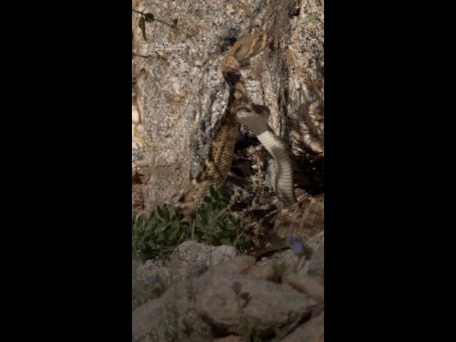 Time to dance like somebody’s watching 👀 #AmericasNationalParks